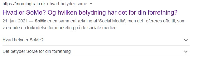 FAQ schema søgeresultat