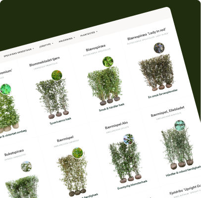 B2B Webshop